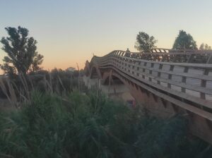 Imagen de un puente sinuoso en medio de vegetación, árboles, al atardecer.